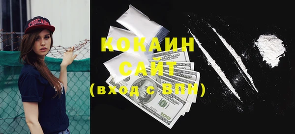 прущий лед Алзамай