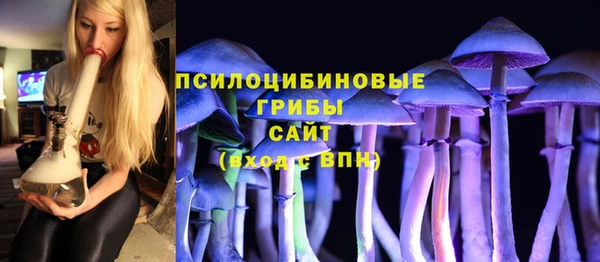 гидропоника Покачи
