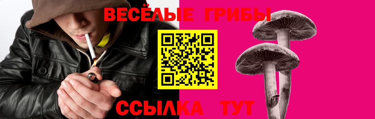 Кандалакша  Псилоцибиновые грибы мухоморы  Галлюциногенные грибы прущие грибы  Вход с VPN 